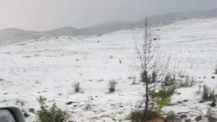 ՏԵՍԱՆՅՈՒԹ. Իրավիճակը՝ Գառնի-Երևան ճանապարհին