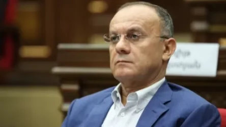 ՏԵՍԱՆՅՈՒԹ․ «Ես դղյակ չունեմ»․ Սեյրան Օհանյան