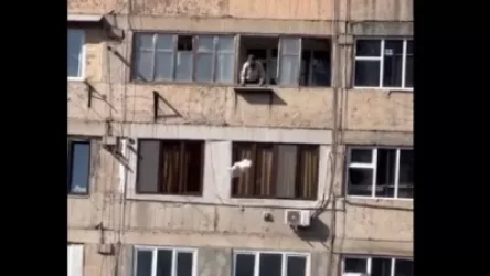 ՏԵՍԱՆՅՈՒԹ․ Քաղաքացին աղբը իջեցնելու փոխարեն վերևից ցած է նետում․ ահազանգ