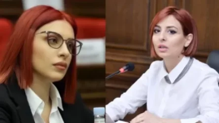 Անի ջան, կան կանայք, որ փողի դիմաց կարող են սիրով զբաղվել, բայց փողի դիմաց փողոց փակող «ջահելներ» չկան․ Խամոյանը՝ Սամսոնյանին