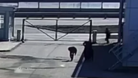 ՏԵՍԱՆՅՈՒԹ. Ինչպես են ռուս զինվորականները ծխախոտ խնդրում և հետո թիկունքից գնդակահարում խաղաղ քաղաքացինեին. CNN