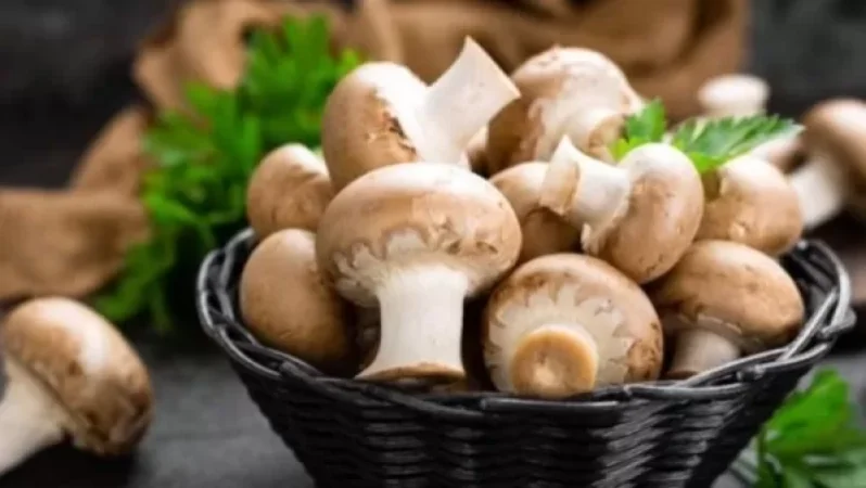 Թունավորվել են իրենց հավաքած սնկից