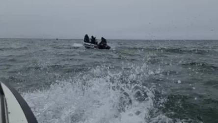 ԼՈՒՍԱՆԿԱՐՆԵՐ. Սևանա լճում նավակով անհետացած 2 քաղաքացու որոնողական աշխատանքները շարունակվում են