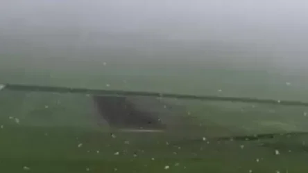 ՏԵՍԱՆՅՈՒԹ․ Մայիսյան ձյուն՝ Արագածոտնի մարզի Ծիլքար գյուղում