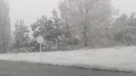 ՏԵՍԱՆՅՈՒԹ․ Ձյուն ու բուք․ Գեղարքունիքը՝ հիմա