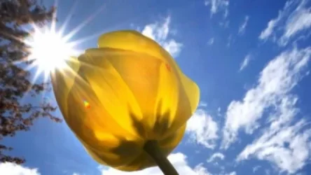 Օդի ջերմաստիճանը կբարձրանա