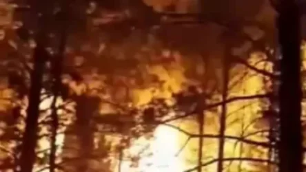 ՏԵՍԱՆՅՈՒԹ․ Խոշոր անտառային հրդեհ՝ ՌԴ-ում