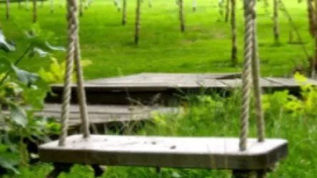 Մանրամասներ. Կախված վիճակում հայտնաբերված 11-ամյա երեխան փորձել է ընդամենը ճոճանակ սարքել. Aravot.am