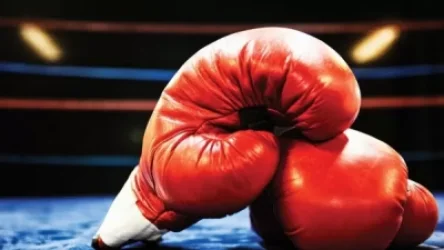 Բռնցքամարտի Եվրոպայի առաջնություն. Հայաստանն առաջին հաղթանակն ունի