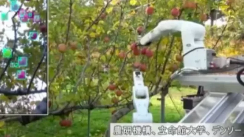 VIDEO: The Robot Farmer is Now Operational, Harvesting Crops Independently