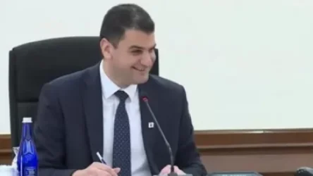 ՏԵՍԱՆՅՈՒԹ. «Լավ ա՝ ավտոյի տակ չի ընկել». քաղաքապետը՝ ուշացած ծրագրի մասին