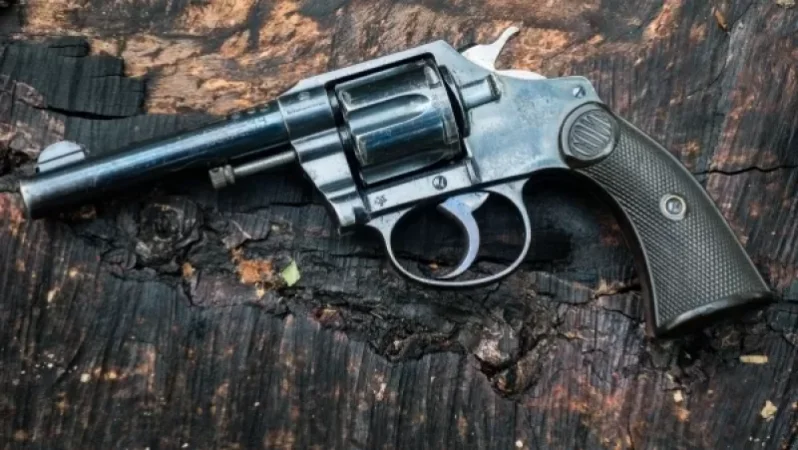 Կանադայում կարգելվի ատրճանակ կրել