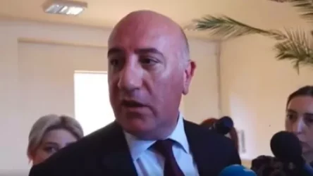 ՏԵՍԱՆՅՈՒԹ․ Հլը դեպքը չեղած՝ ասում եք ինքնասպանություն Է, էդ որ դեպքն է բացահայտվել․ լրագրողը՝ սահմանին զոհերի մասին