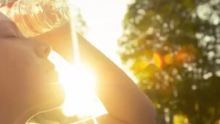 Ինչպես դիմակայել շոգին. նախարարությունը խորհուրդներ է տալիս