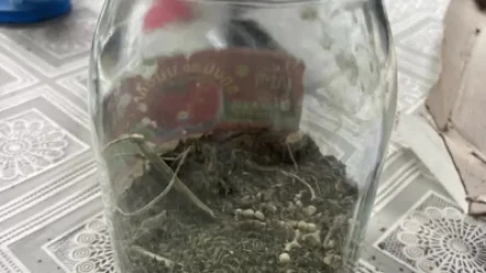 ՏԵՍԱՆՅՈՒԹ. Տղամարդը ոստիկաններին հրավիրել է տուն և անձամբ ցույց տվել իր պահած թմրանյութը