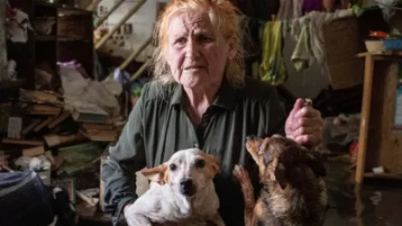 ՏԵՍԱՆՅՈՒԹ․ Տեղացիները փրկում են ՀԷԿ-ի փլուզման հետևանքով տուժած կենդանիներին