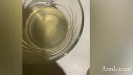 Թաիրով գյուղի ջրից նմուշ են վերցրել և ուղարկել փորձաքննության. ArmLur