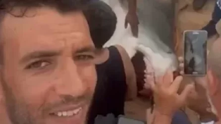 ՏԵՍԱՆՅՈՒԹ. Ականատեսները պատմել են` ինչպես է շնաձուկը կտոր-կտոր արել ռուս տղային