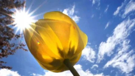 Ջերմաստիճանը կնվազի. առաջիկա օրերի եղանակը