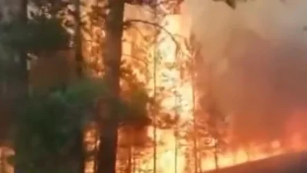 ՏԵՍԱՆՅՈՒԹ․ Ղազախստանում հրդեհները մոլեգնում են․ ծխից 15 մարդ է մահացել