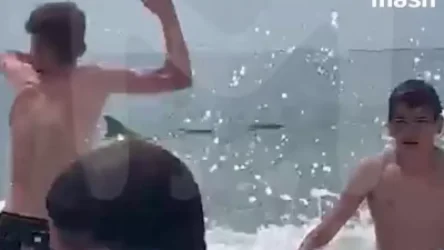 ՏԵՍԱՆՅՈՒԹ. Անապայի լողափերից մեկում` դելֆինների հայտնվելուն պես, մարդիկ սարսափահար դուրս են եկել ջրից` մտածելով, որ նրանց շնաձուկ է մոտենում