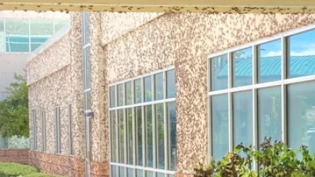 ՏԵՍԱՆՅՈՒԹ․ Մորեխները գրոհել են ԱՄՆ Նևադա նահանգի որորոշ հատվածներ