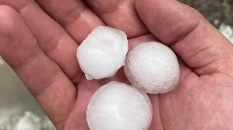 Severe Hailstorm Hits Lori, Approximately 90% of Harvest Damaged in One Community