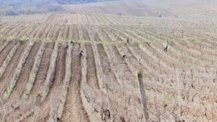 Արցախում ադրբեջանական ԶՈւ–ն կրակել է գյուղատնտեսական աշխատանքներ կատարող անձի ուղղությամբ