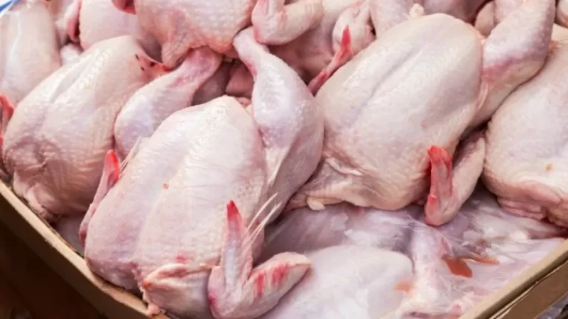 «Ախտածին, ա/թ սալմոնելաներ». «Արաքս» թռչնաֆաբրիկայի արտադրական գործունեությունը կասեցվել է