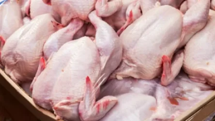 «Ախտածին, ա/թ սալմոնելաներ». «Արաքս» թռչնաֆաբրիկայի արտադրական գործունեությունը կասեցվել է