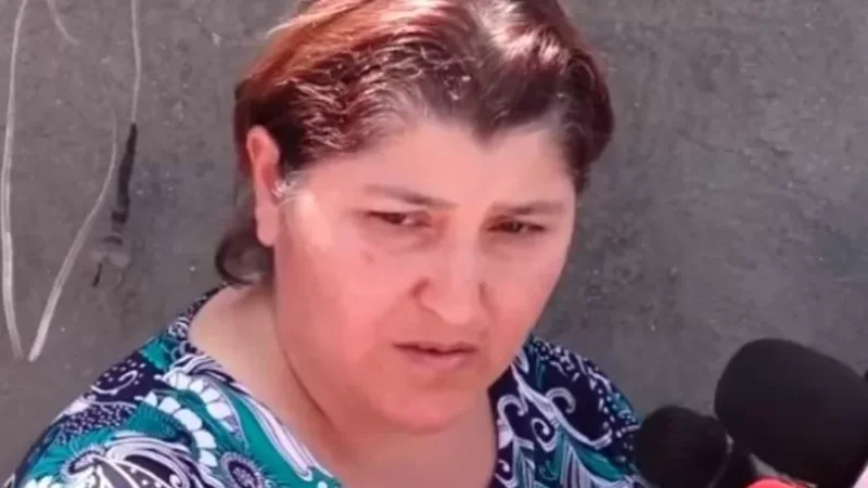 Անգամ դրոշն էին թիրախավորել, ամբողջը ծակել էին.  Երասխի բնակչուհի