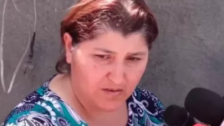 Անգամ դրոշն էին թիրախավորել, ամբողջը ծակել էին.  Երասխի բնակչուհի