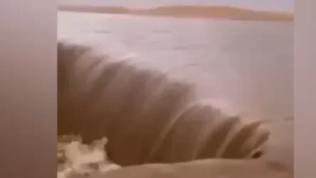 ՏԵՍԱՆՅՈՒԹ․ Ջրի աղբյուրներ՝ անապատում