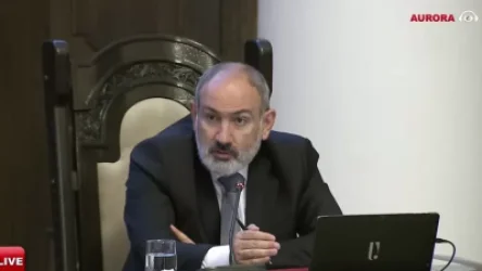 ՏԵՍԱՆՅՈՒԹ. «Տաքսիների վճարումները պետք է դառնան անկանխիկ». Փաշինյան