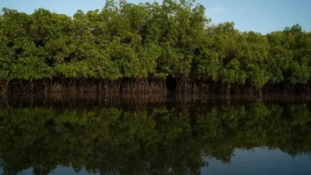 Մոլորակն «այրվում է»․ Al Jazeera-ի անդրադարձը