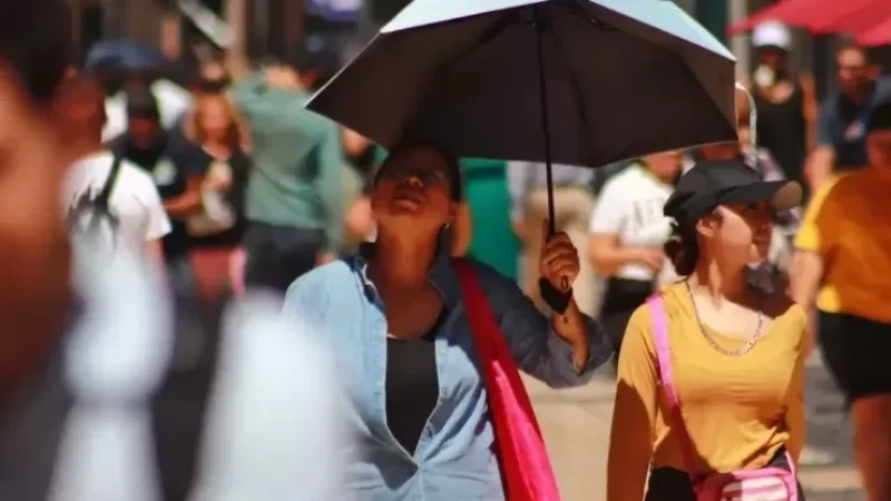 Մեքսիկայում անոմալ շոգերից 112 մարդ է մահացել