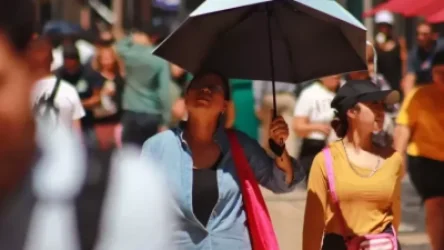 Մեքսիկայում անոմալ շոգերից 112 մարդ է մահացել