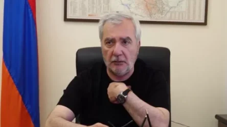 ՏԵՍԱՆՅՈՒԹ. Անդրանիկ Քոչարյանը` Մակրոնի հայտարարության մասին