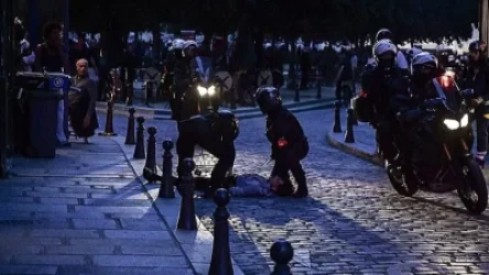 ՏԵՍԱՆՅՈՒԹ. Ֆրանսիայում անկարգությունների ժամանակ փողոցներում առյուծներ են նկատվել. օգտատերեր