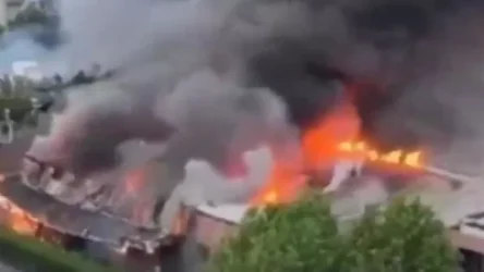 ՏԵՍԱՆՅՈՒԹ. Ֆրանսիացի ցուցարարները հրկիզել են Մարսելի գրադարանը