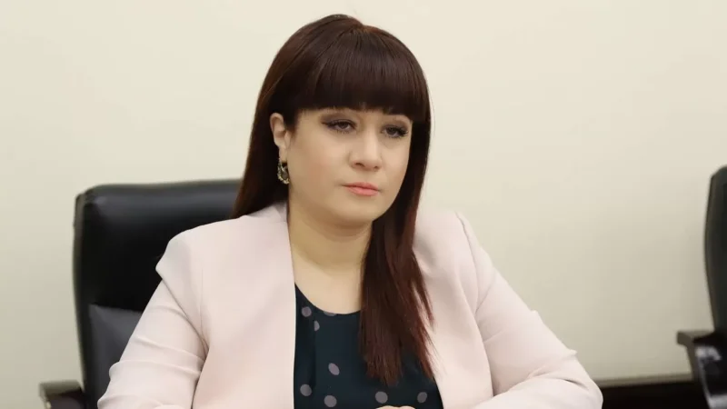 Վարչապետի խոսնակն անդրադարձել է ՀՀ իշխանությունների՝ ԼՂ-ի իրենց գործընկերների հետ շփումները դադարեցրելու մասին լուրերին