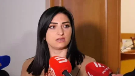 ՏԵՍԱՆՅՈՒԹ. Լուրջ հակասություններ կան Բաքվի թեզերում. Թագուհի Թովմասյան