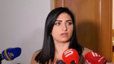 ՏԵՍԱՆՅՈՒԹ. «Փաշինյանի ցանկացած զբոսանք սադրանք է քաղաքացու նկատմամբ»․ Թագուհի Թովմասյան