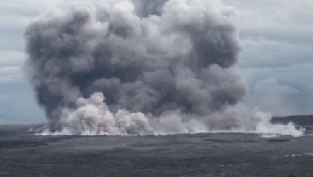 Ահաբեկչության հեղինակները պատժվելու են հենց Գերմանիայում. ոչ ոքի չենք խղճալու. Օլաֆ Շոլց