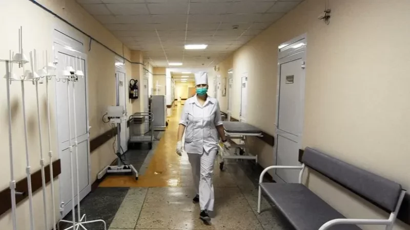 Չեչնիայում դաժան ծեծի են ենթարկել փաստաբան Զարեմա Մուսաևային և լրագրող Ելենա Միլաշինային