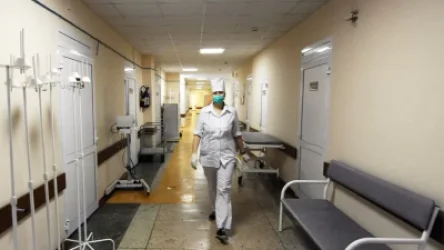 Չեչնիայում դաժան ծեծի են ենթարկել փաստաբան Զարեմա Մուսաևային և լրագրող Ելենա Միլաշինային