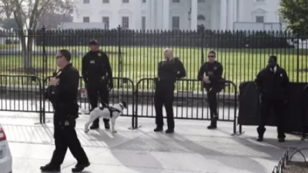 Սպիտակ տան տարածքում կոկաին են հայտնաբերել