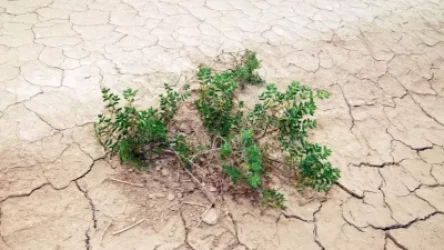 Այս տարվա հուլիսի 3–ը համարվել է պատմության ամենաշոգ օրը