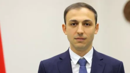 «ՀՀ իշխանության` Արցախի մասին հայտարարությունները վնասում են ընդհանուր գործին». Արցախի ՄԻՊ