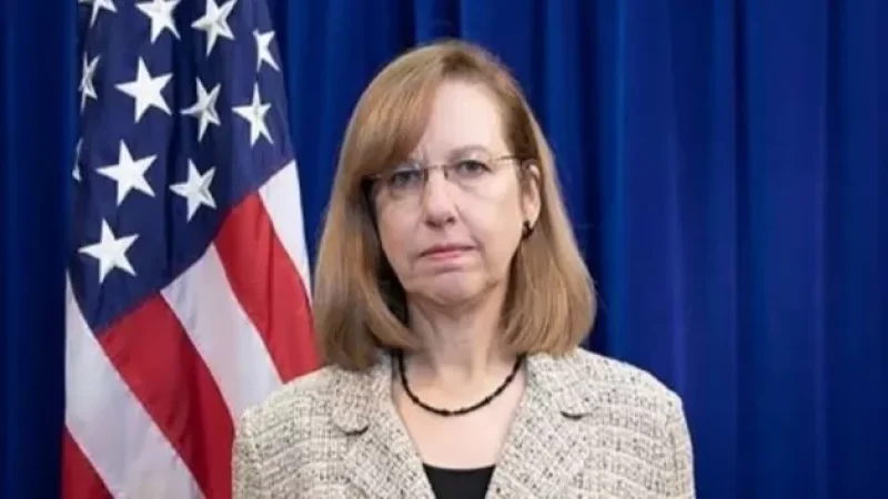 ԱՄՆ-ն ԼՂ-ի ապագայի վերաբերյալ բանակցությունների արդյունքներ չի կանխորոշում․ ԱՄՆ դեսպանի պարզաբանումը